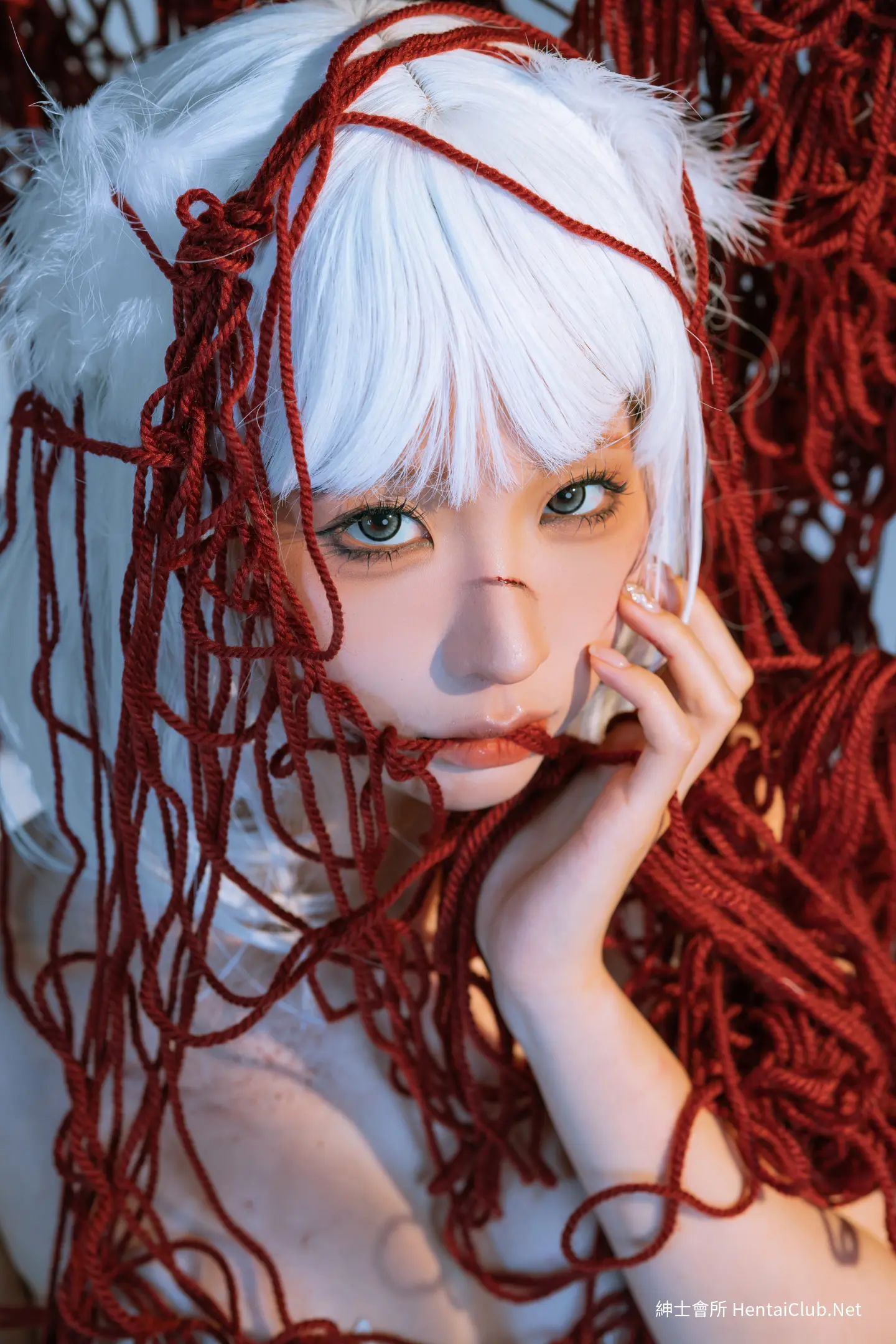 蠢沫沫 云溪溪 折翼