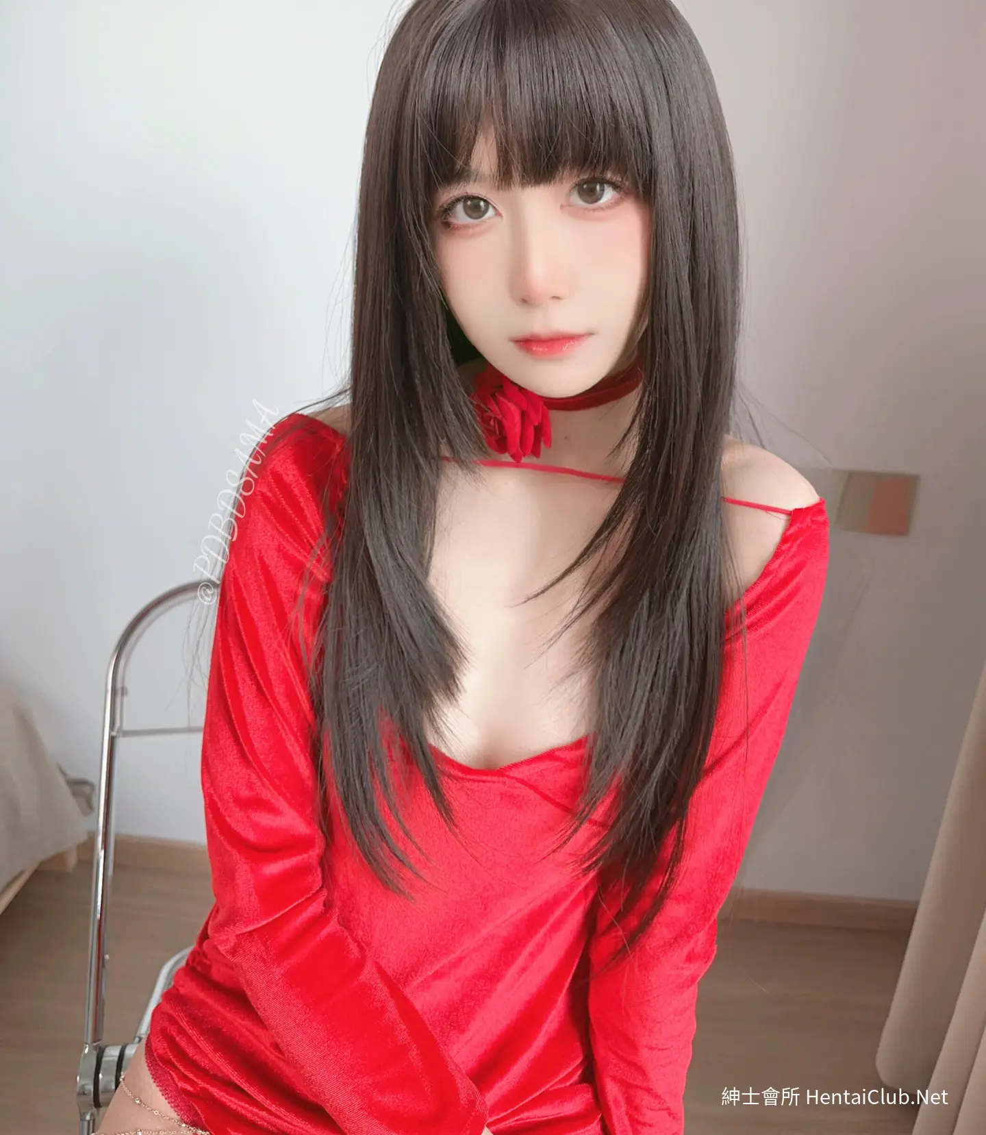 布丁大法 新年红